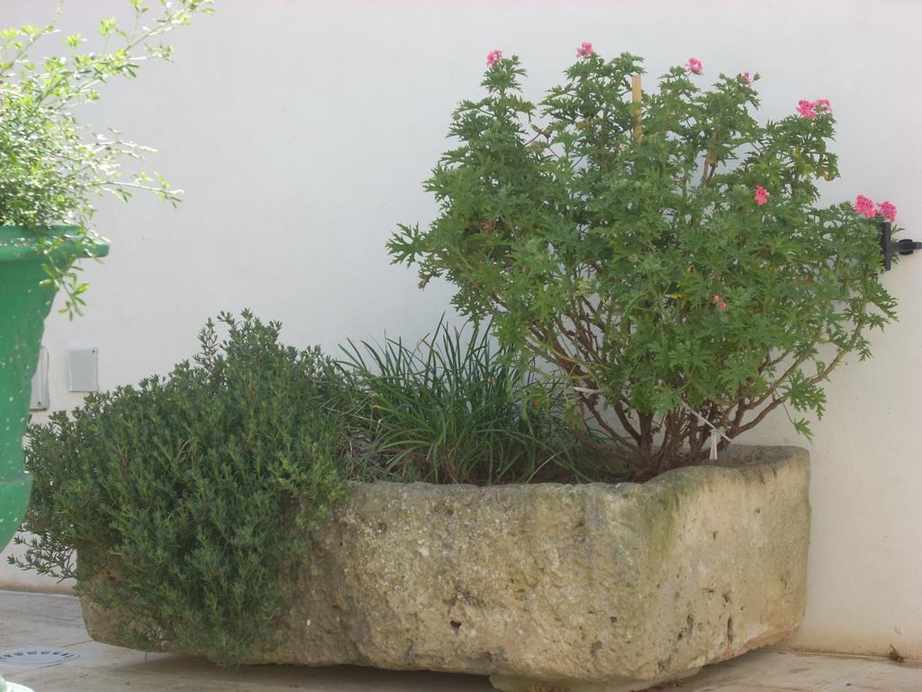 Bed & Breakfast Le Due Corti Martignano