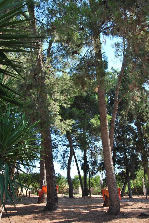 Bed & Breakfast Le Due Corti Martignano