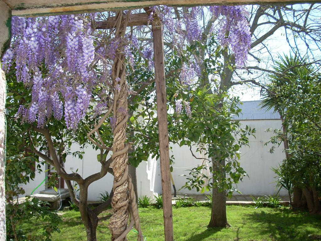 Le Due Corti Bed & Breakfast Martignano